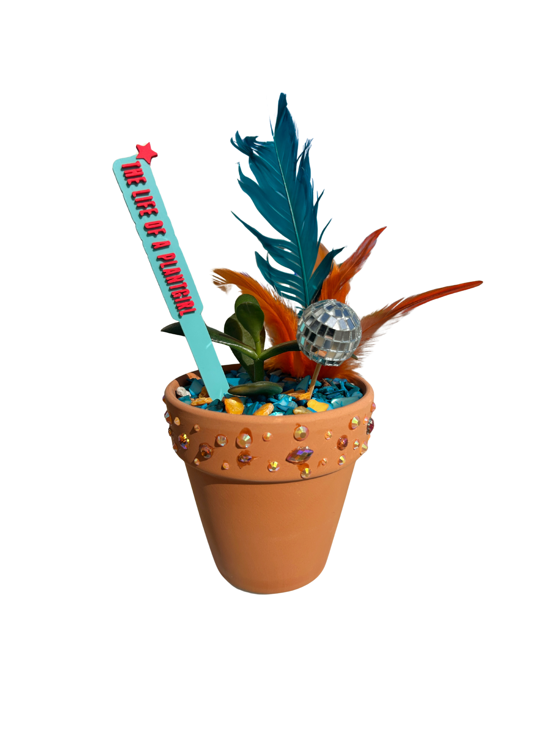 The Life of a Plantgirl