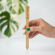 Wood Plant Stakes with Personality