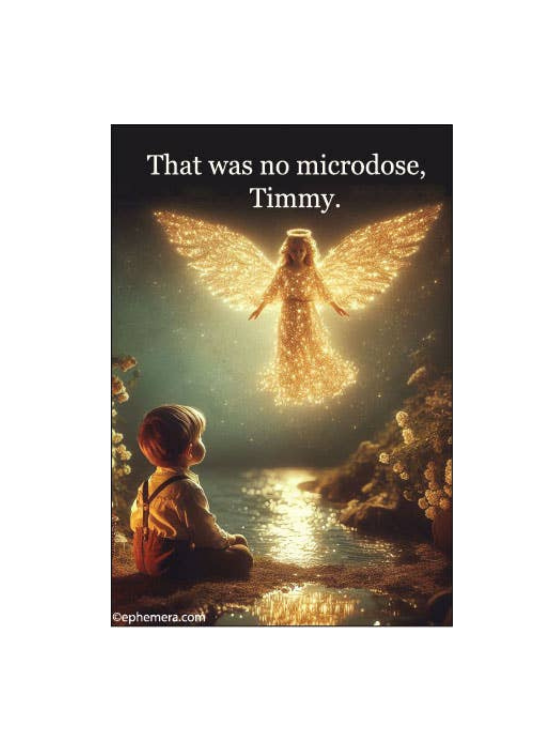 That Was No Microdose, Timmy Funny Psychedelic Magnet