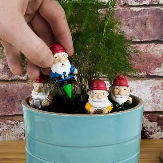 Mini Gnomes Plant Pot Decor