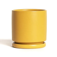 Cylinder Planter Pot with Saucer in Mustard | 4.5 in