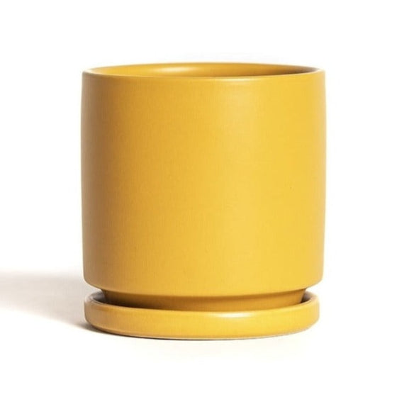 Cylinder Planter Pot with Saucer in Mustard | 4.5 in