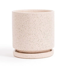  Cylinder Planter with Saucer in White Sesame | 6.25 in