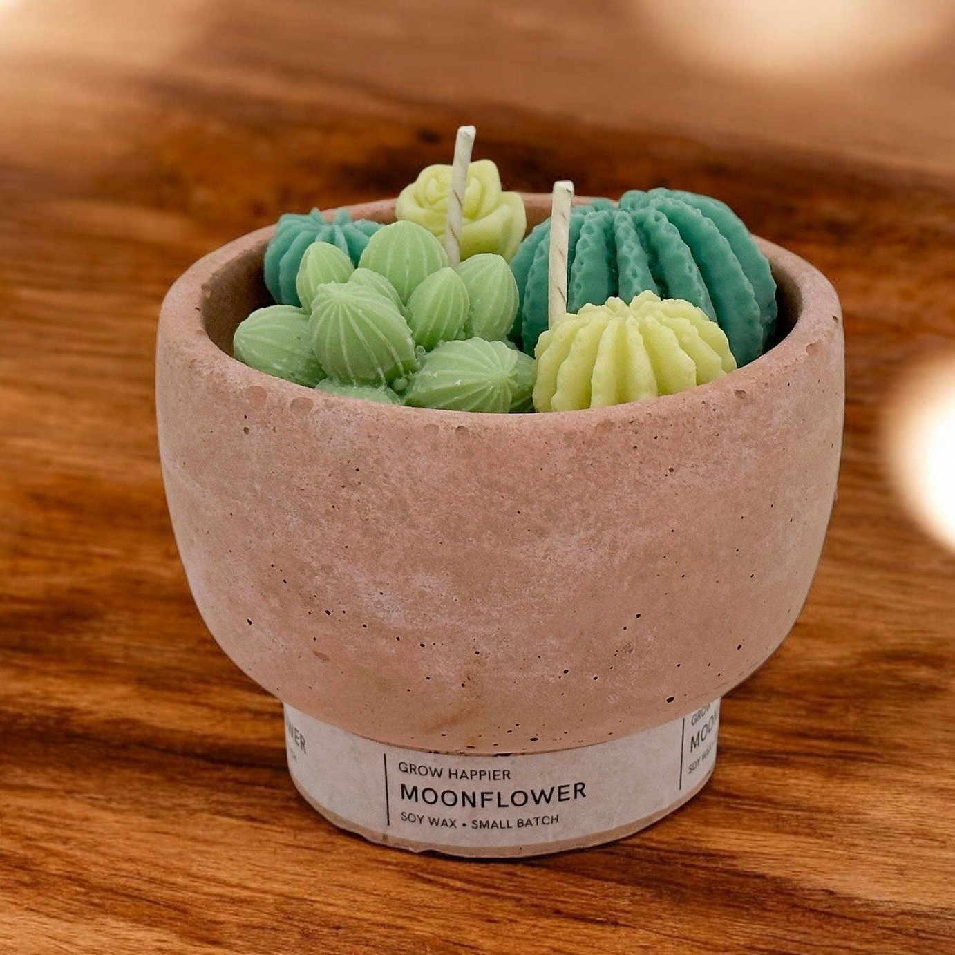 Succulent Candle Mooonflower