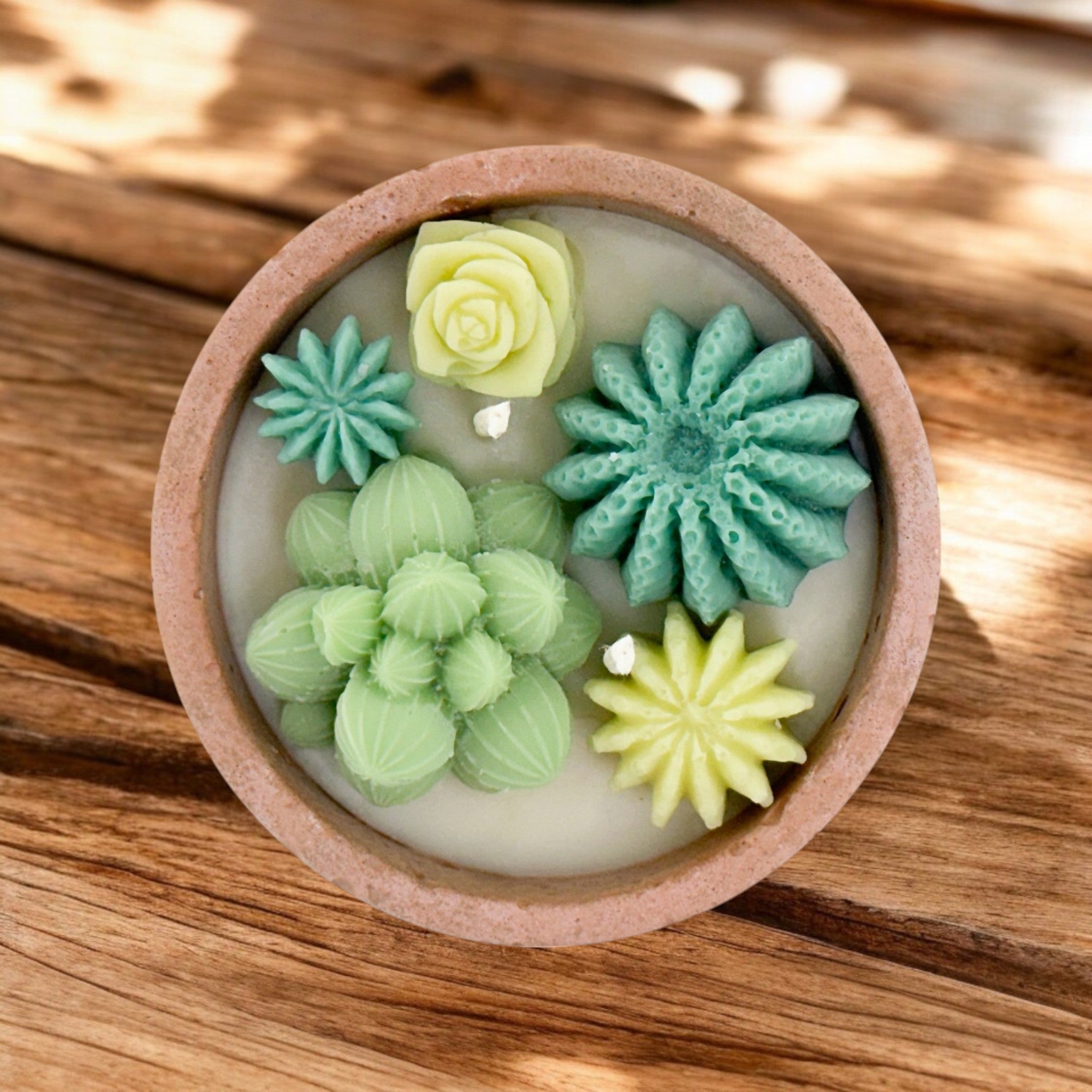 Succulent Candle Mooonflower