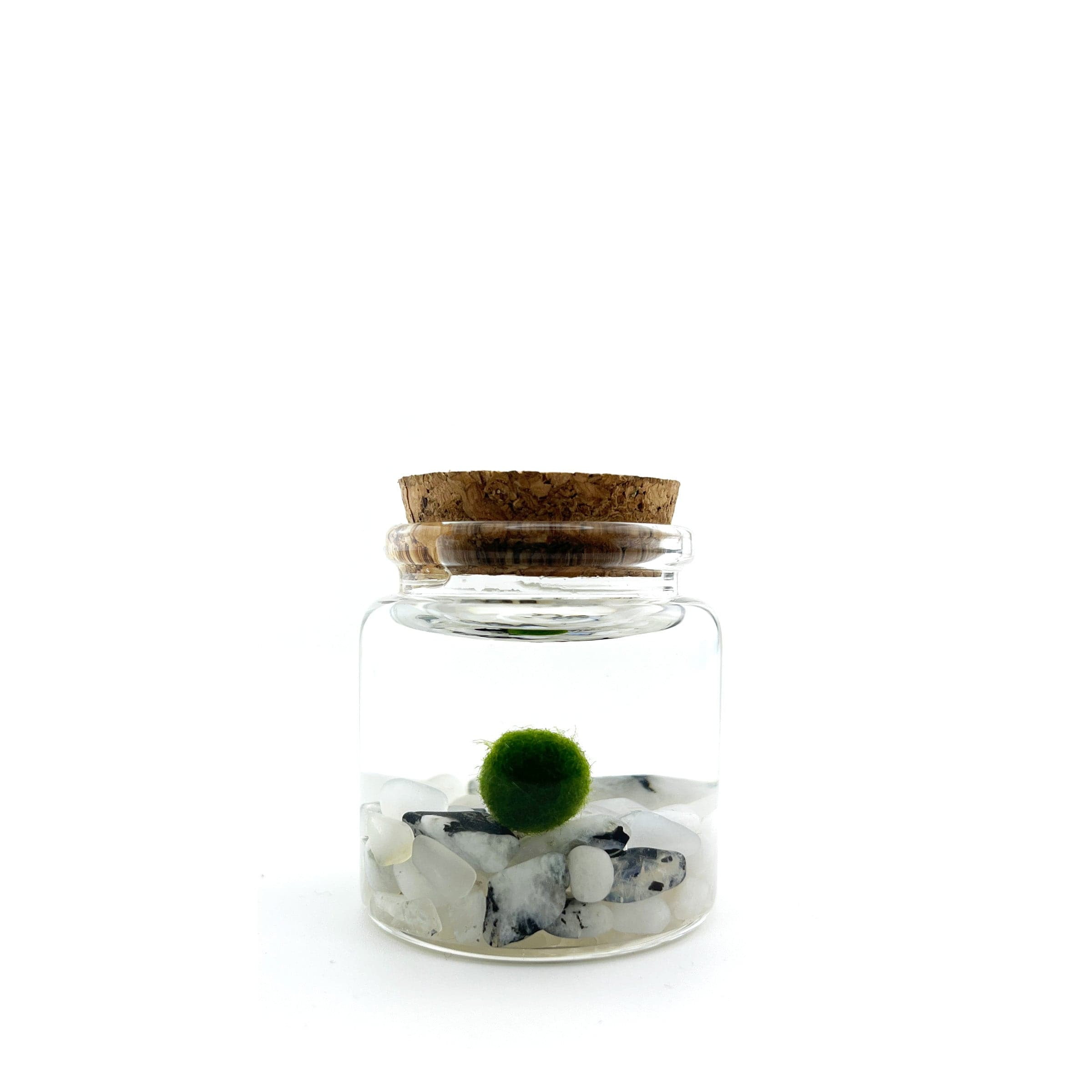 moonstone-rico.png