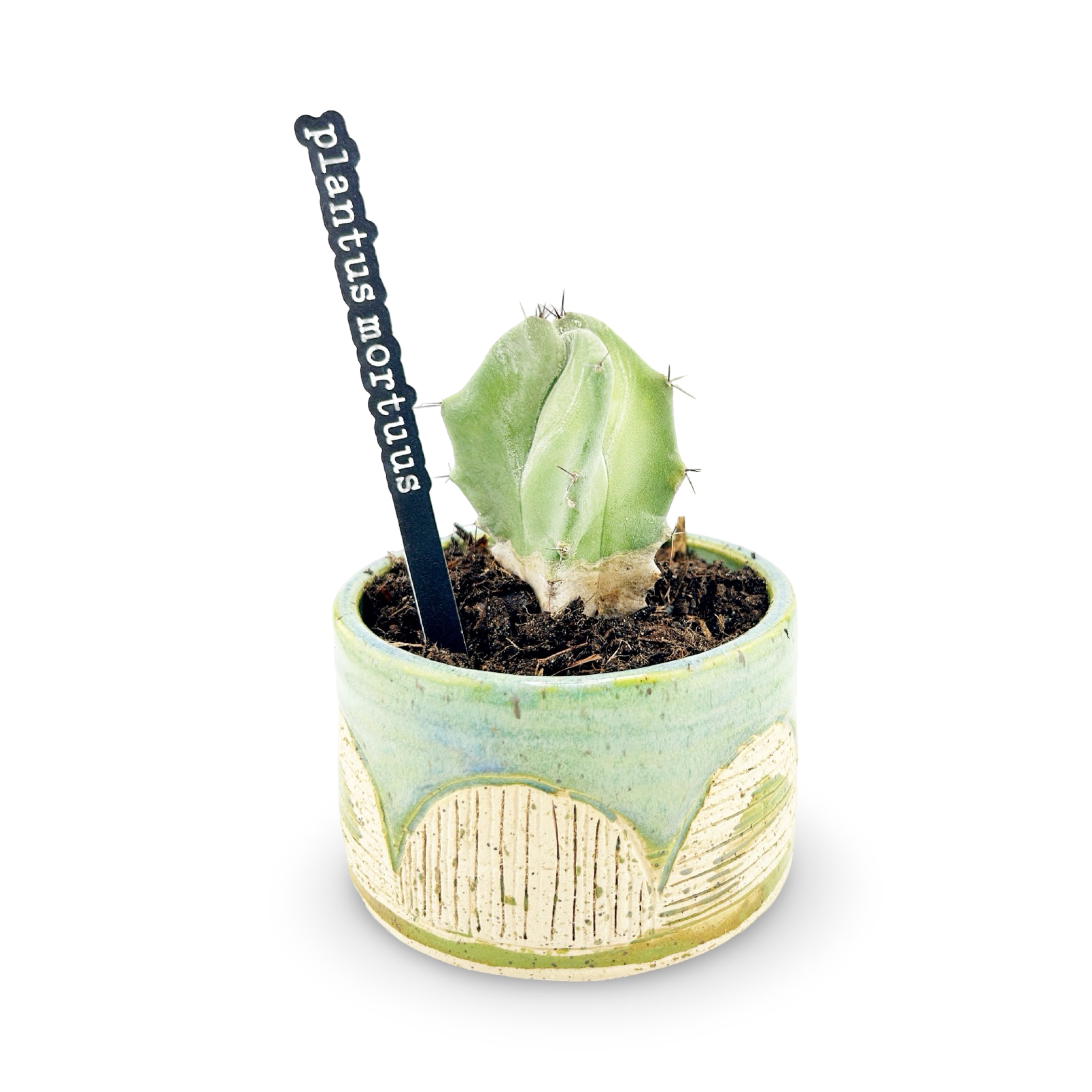 Plantus Mortuss Funny Plant Stake