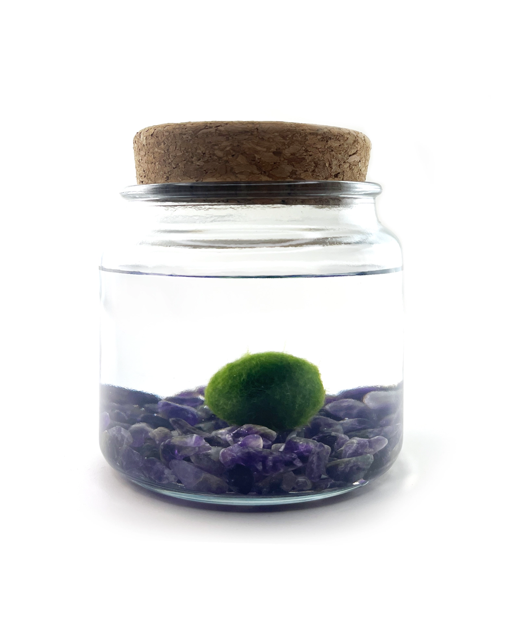 moss-amigo-amethyst_73a6bada-afaa-44fe-89cc-ac12b77297ab.png