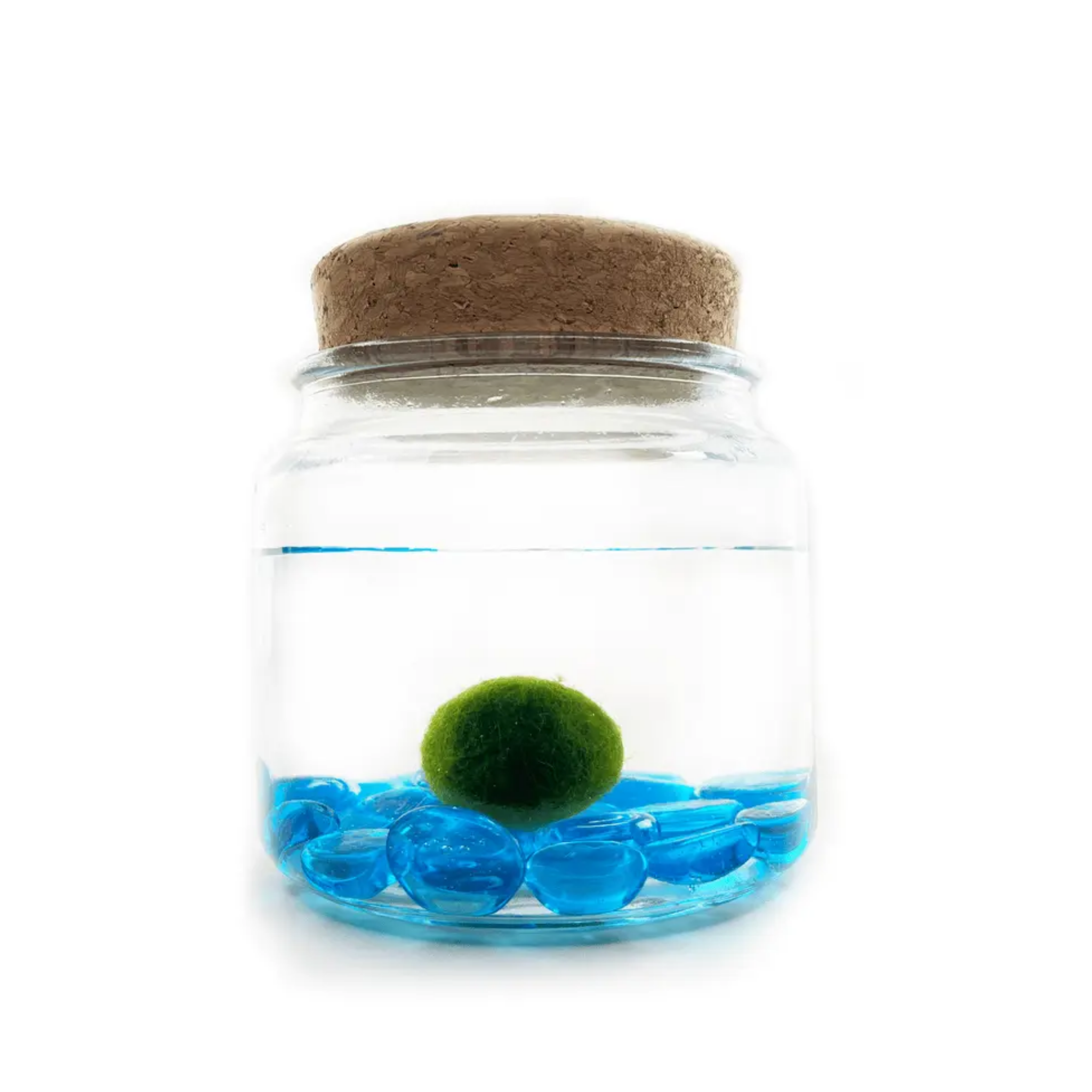 moss-amigo-blue-glass.png