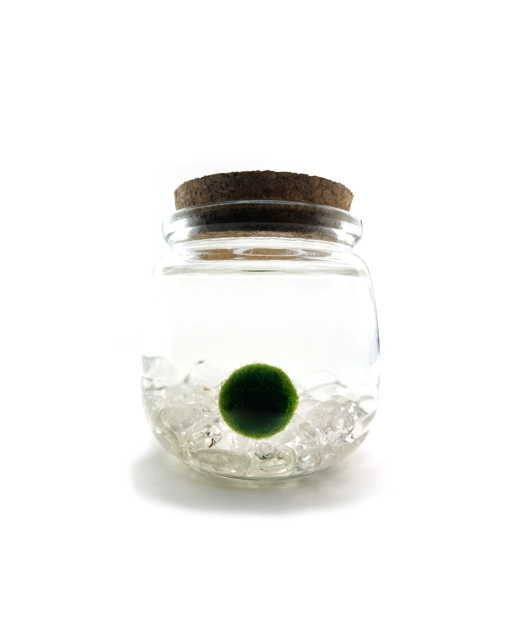 moss-chico-clear-quartz_6712b206-c451-49d1-930d-20b8198aefc9.png