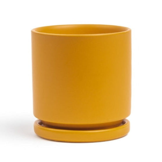 Cylinder Planter with Saucer in Mustard | 6.25 in
