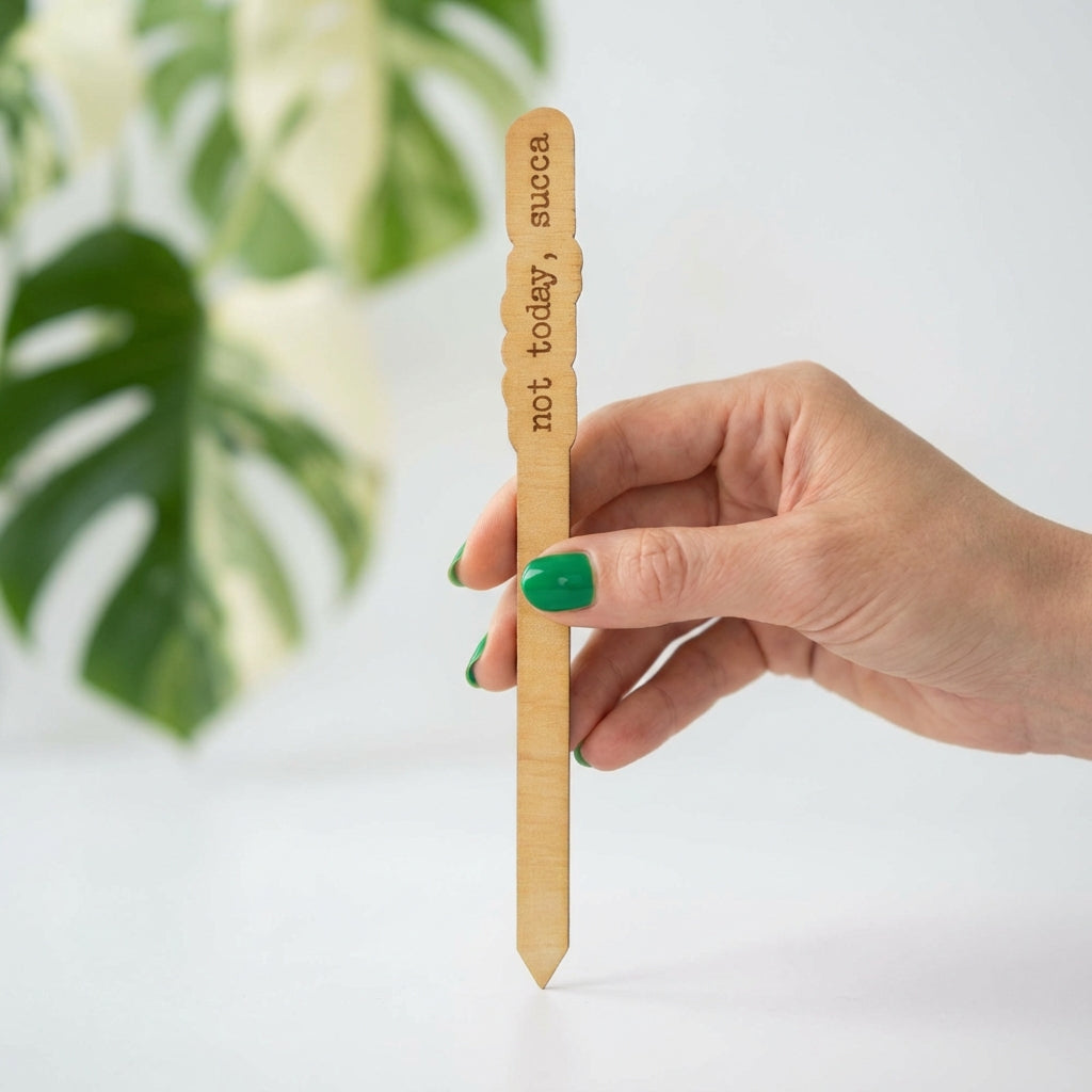 Wood Plant Stakes with Personality