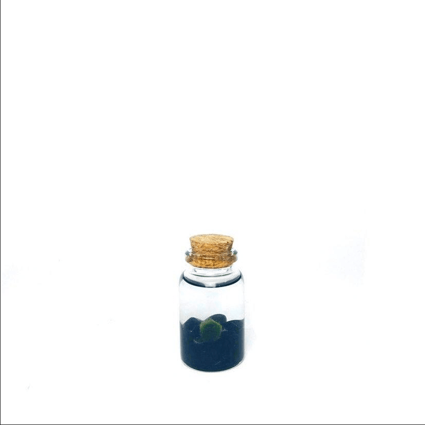 obsidian-nino.png