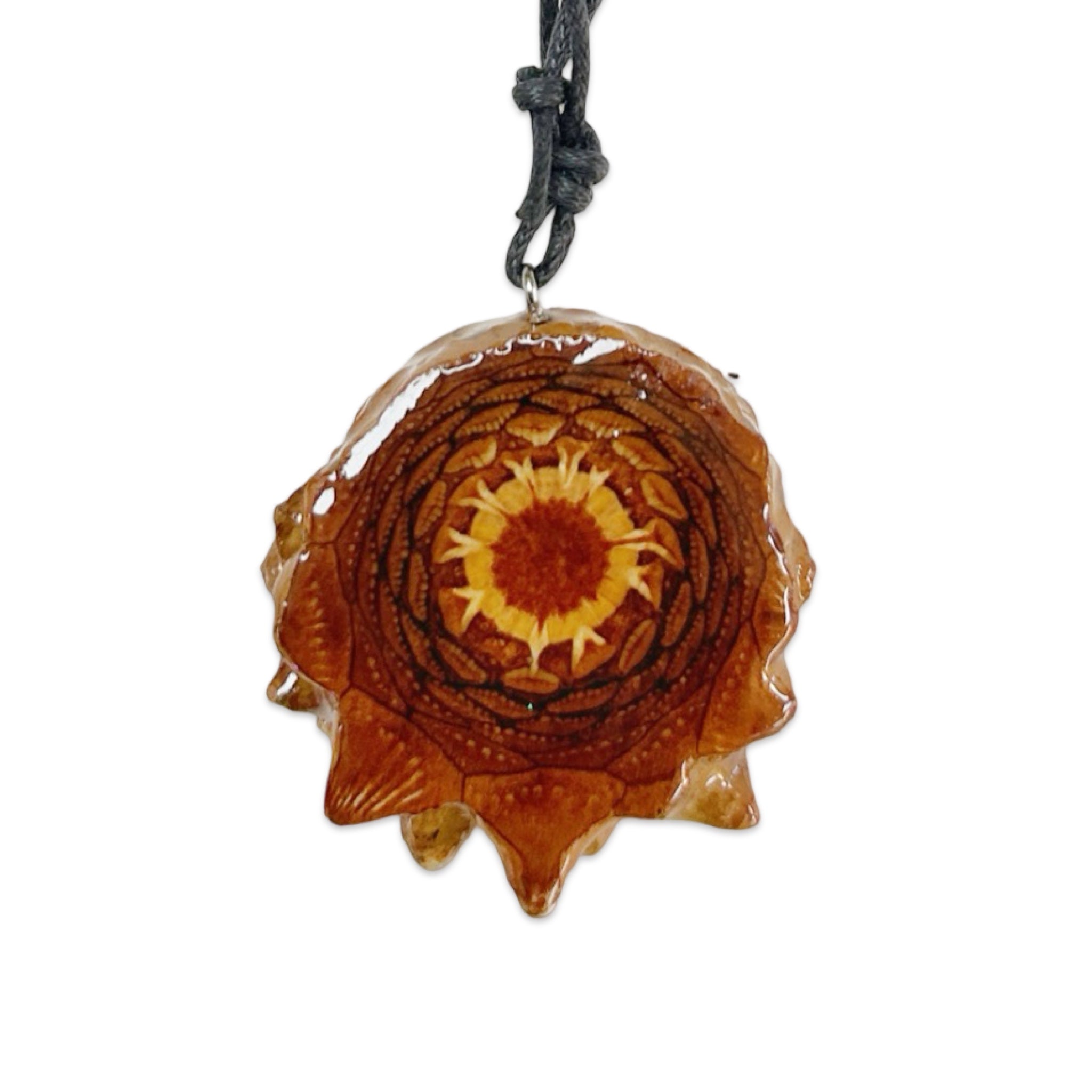 Knobcone Tree Pinecone Necklace