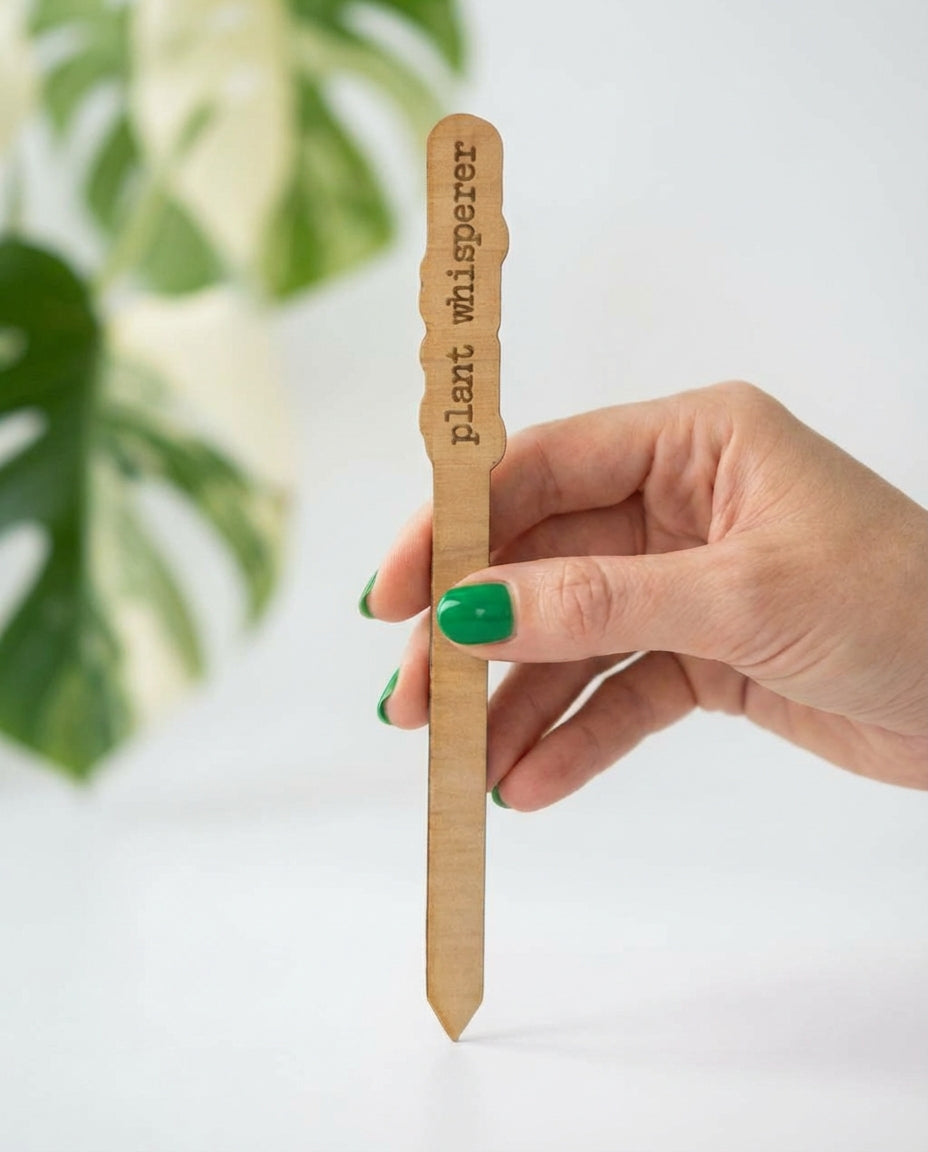Wood Plant Stakes with Personality