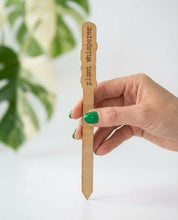 Wood Plant Stakes with Personality