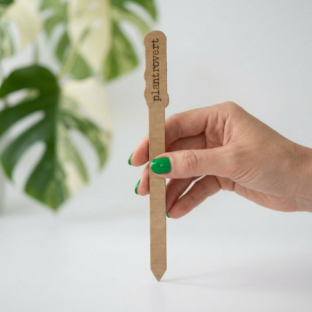 Wood Plant Stakes with Personality