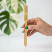 Wood Plant Stakes with Personality