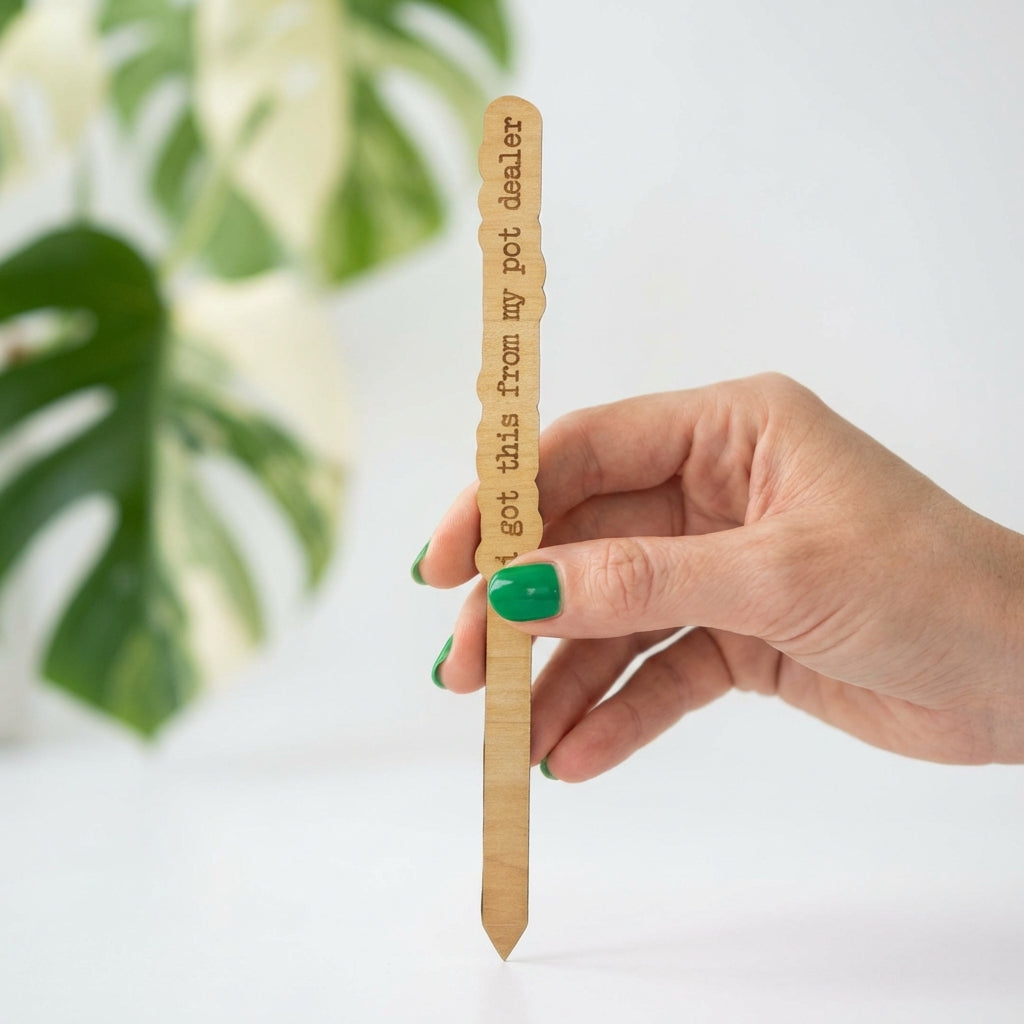 Wood Plant Stakes with Personality