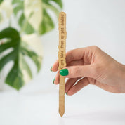 Wood Plant Stakes with Personality