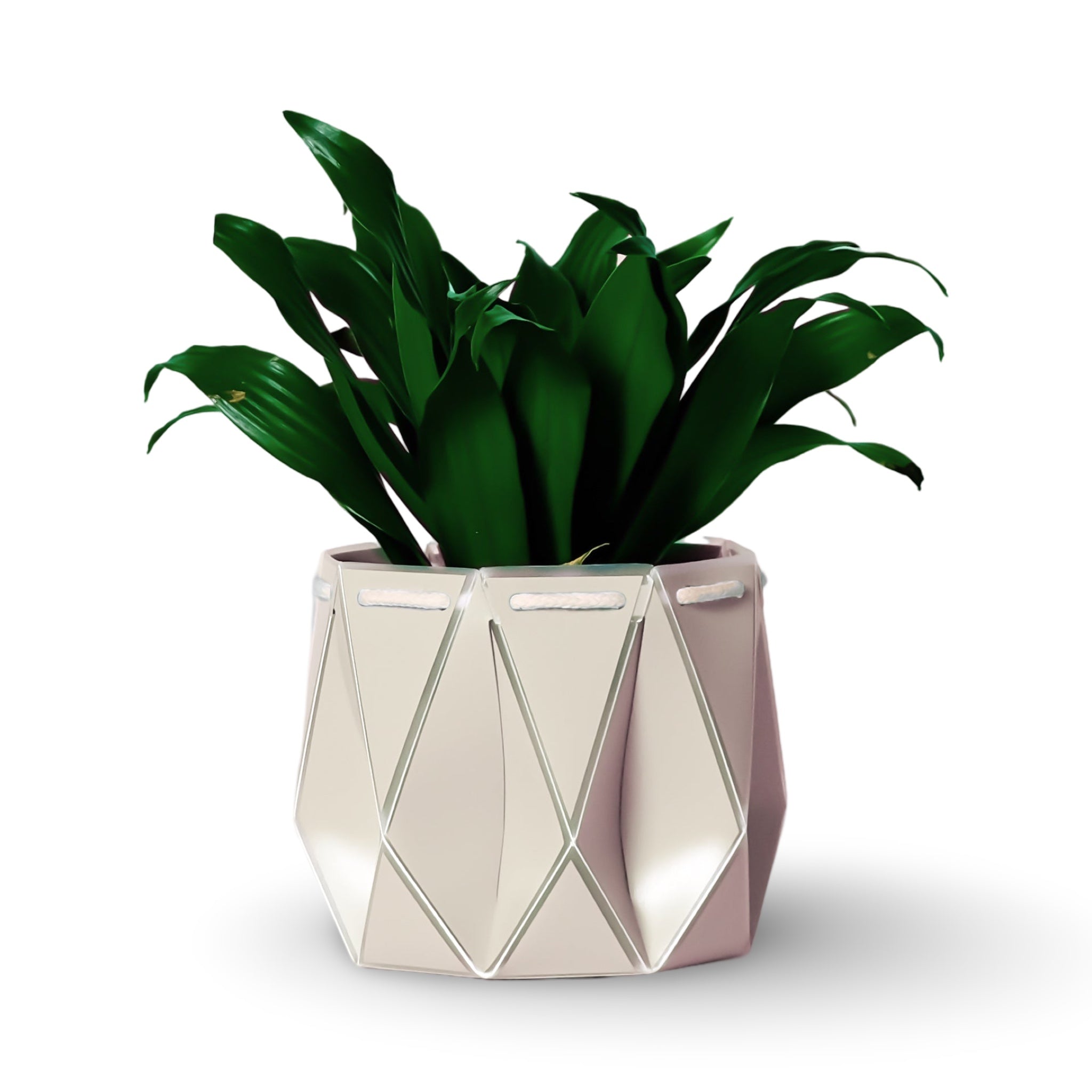 Origami Self-Watering Pot Ivory White