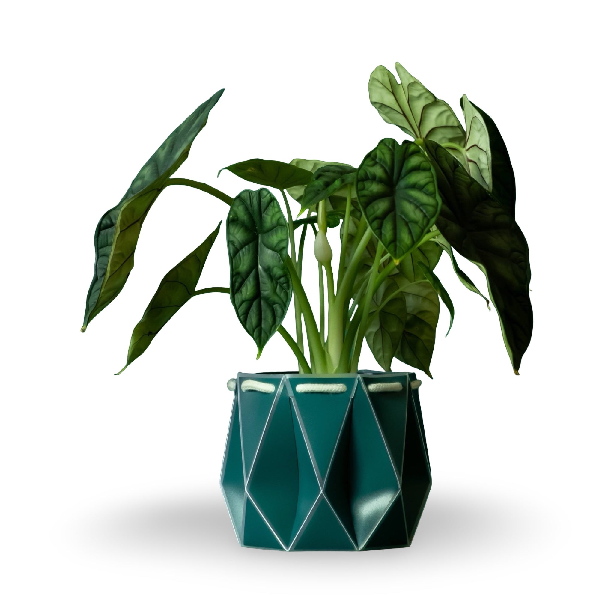 Origami Self-Watering Planter Dark Teal