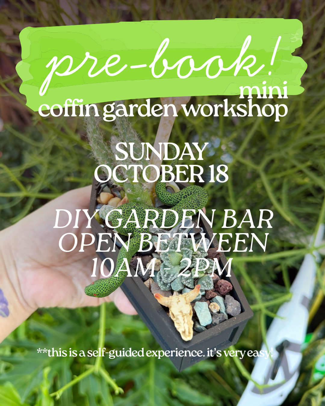 Pre-Book Your Mini Coffin Garden – October 18