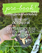 Pre-Book Your Mini Coffin Garden – October 18