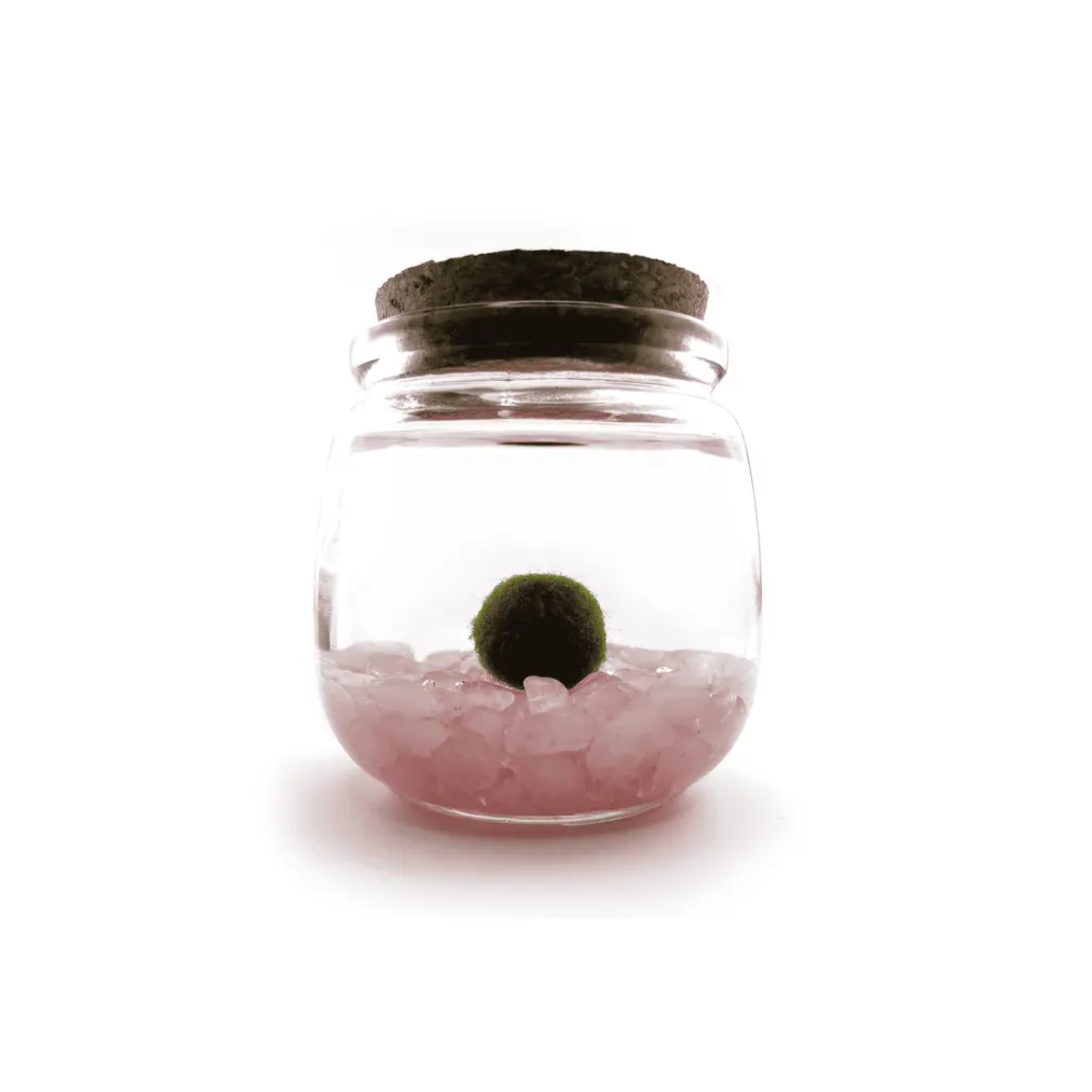 rose-quartz-moss-amigo-chico.png
