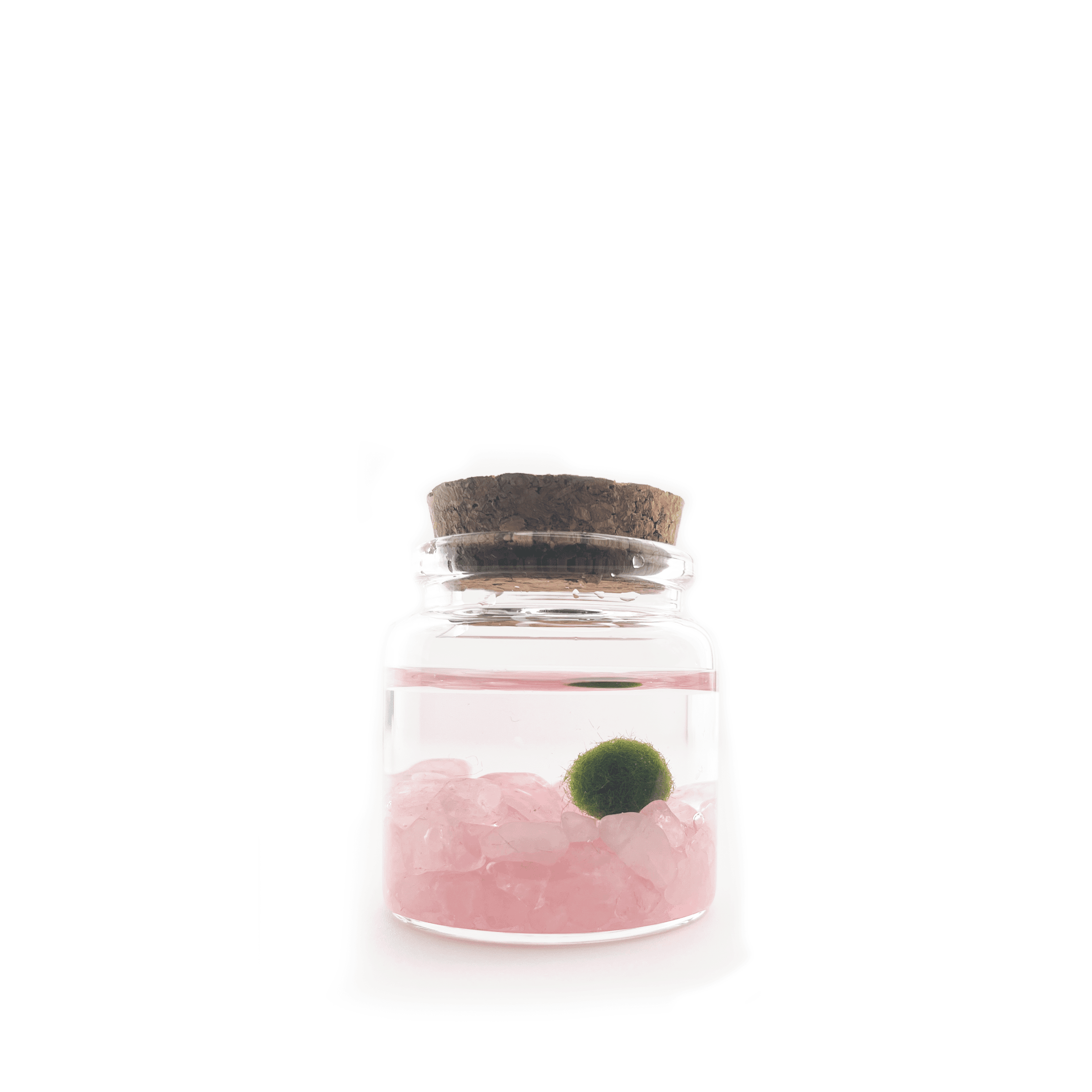 rosequartz-rico.png