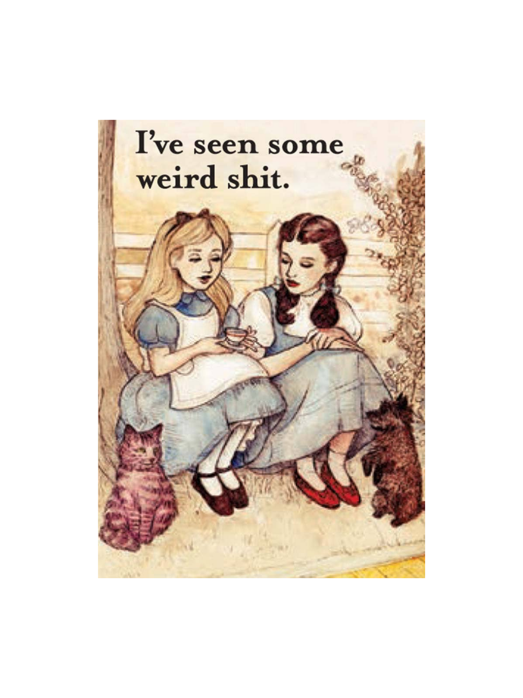 I've Seen Some Weird Shit Funny Magnet
