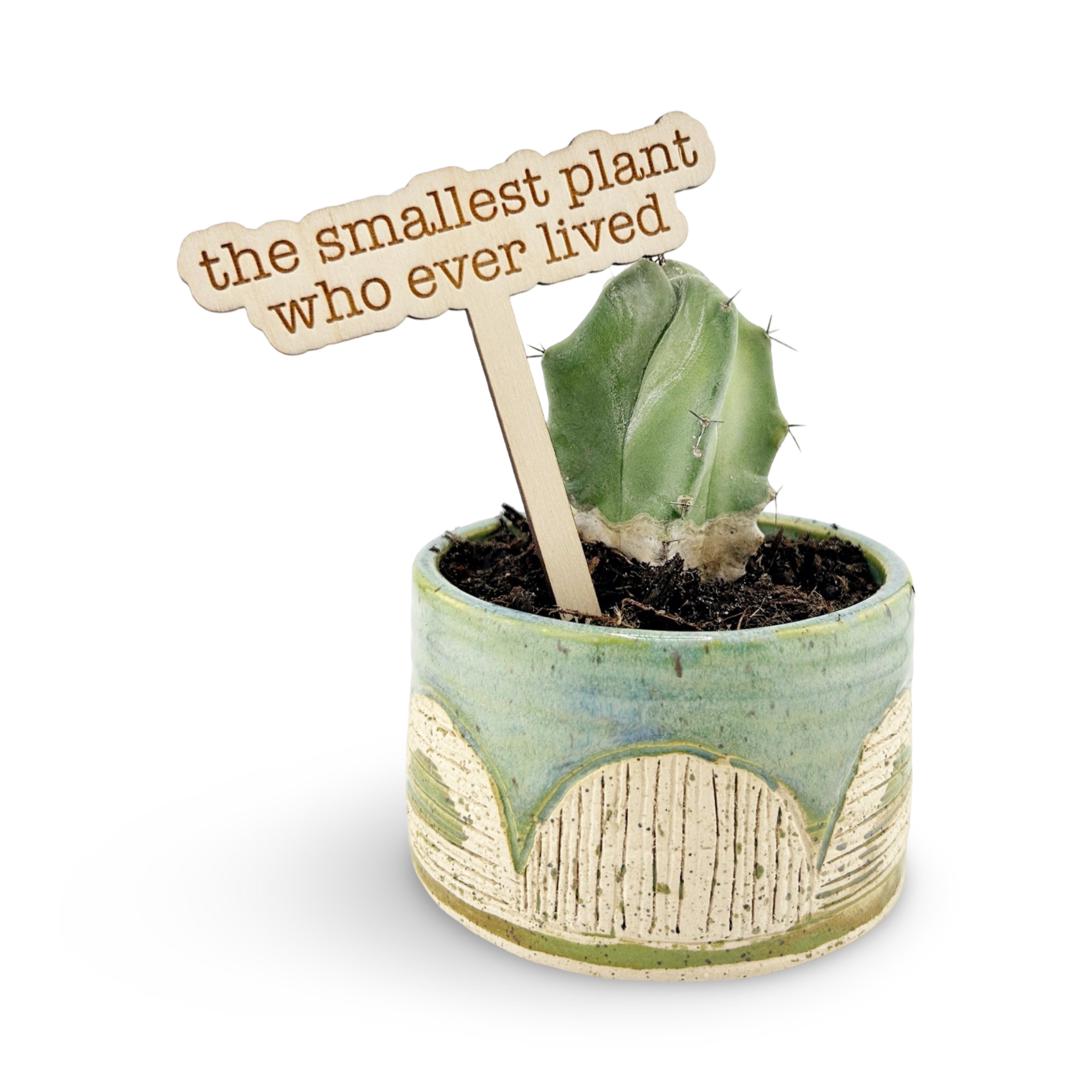 The Smallest Plant Who Ever Lived Funny Plant Stake