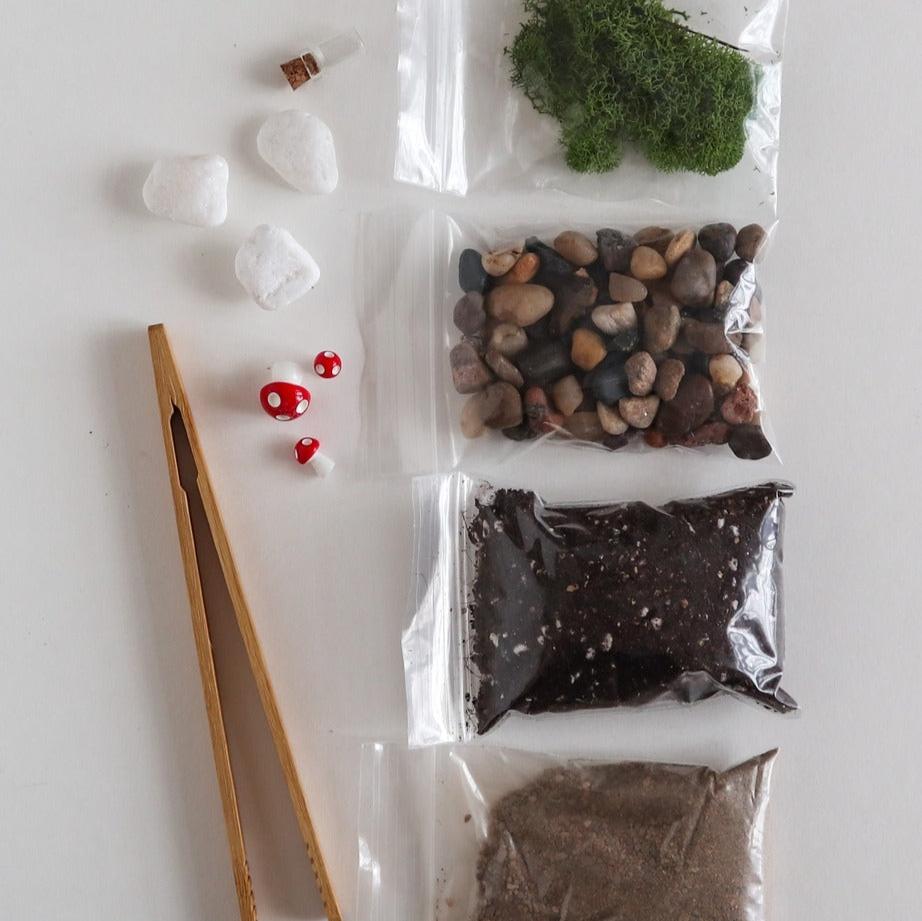 DIY Terrarium Kit