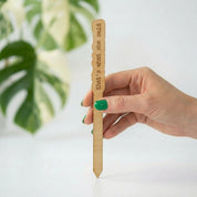 Wood Plant Stakes with Personality