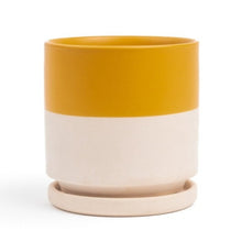  Cylinder Planter Pot with Saucer Top Half Mustard | 4.5 in