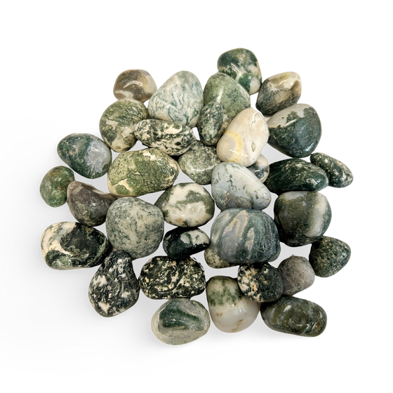Tree Agate Tumbled Stone
