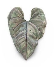 Anthurium Leaf Concrete Wall Art by Urban Soule