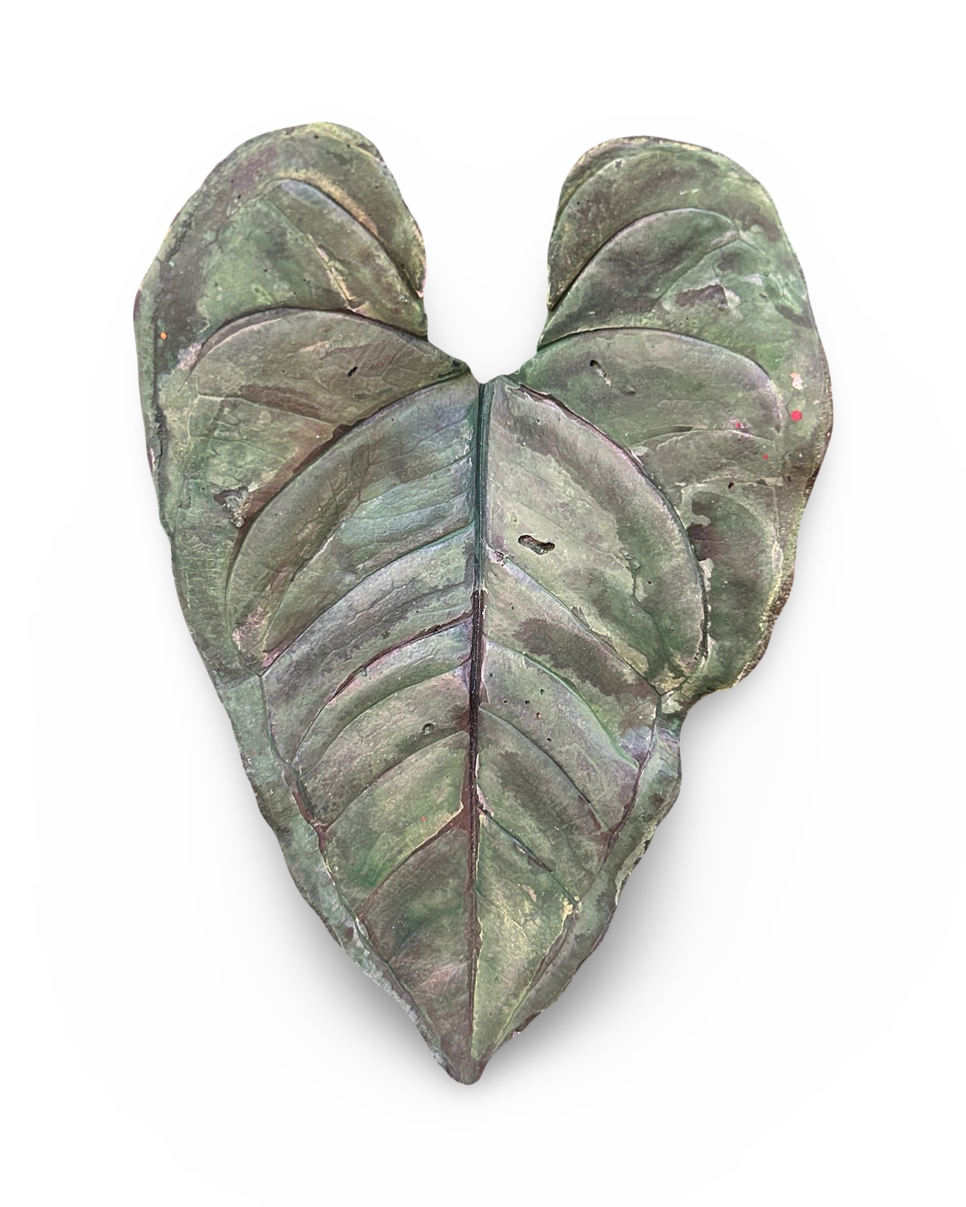Anthurium Leaf Concrete Wall Art by Urban Soule