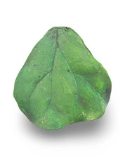 Triangle Fig Leaf Concrete Wall Art by Urban Soule