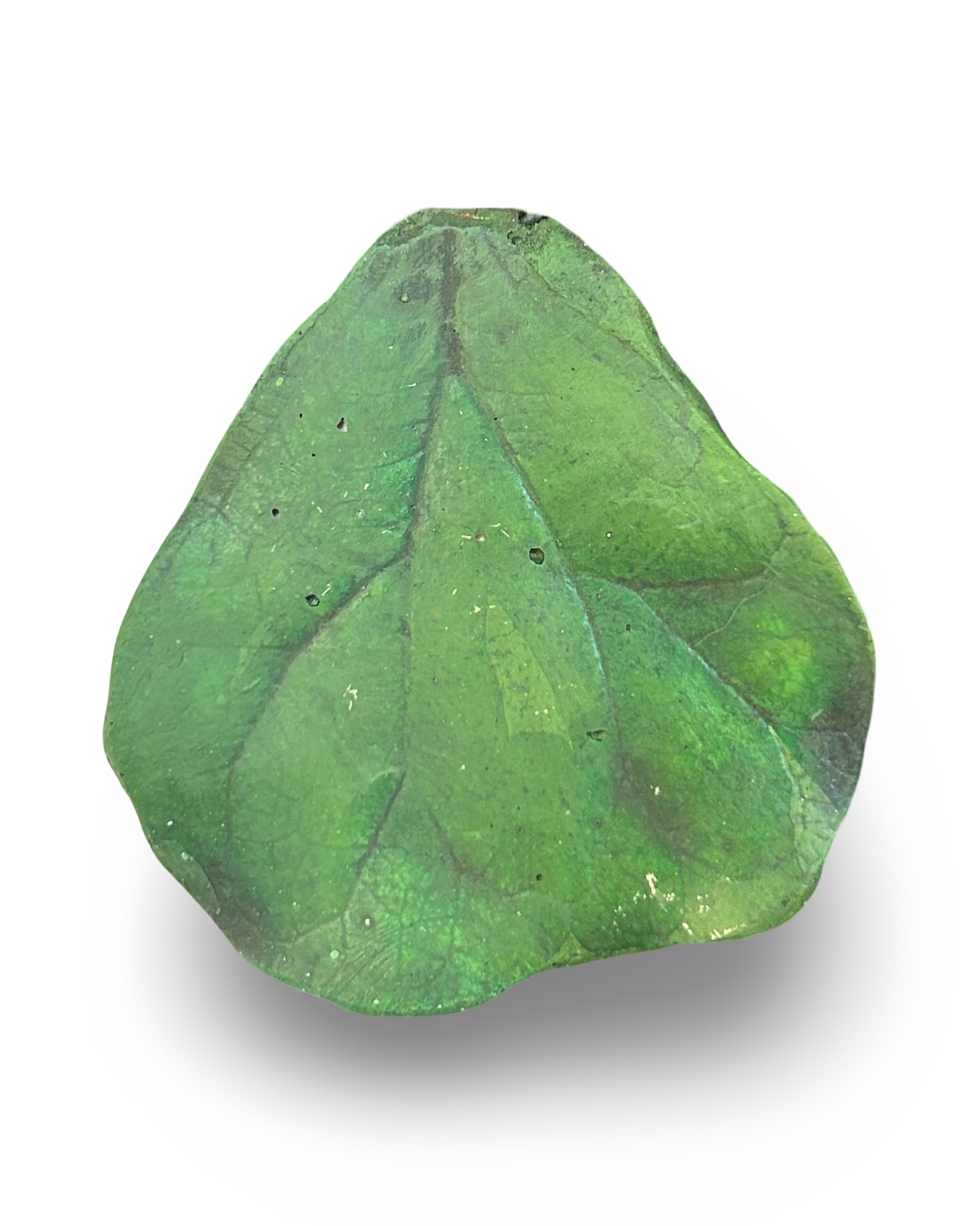 Triangle Fig Leaf Concrete Wall Art by Urban Soule