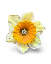 Daffodil Flower Concrete Wall Art by Urban Soule
