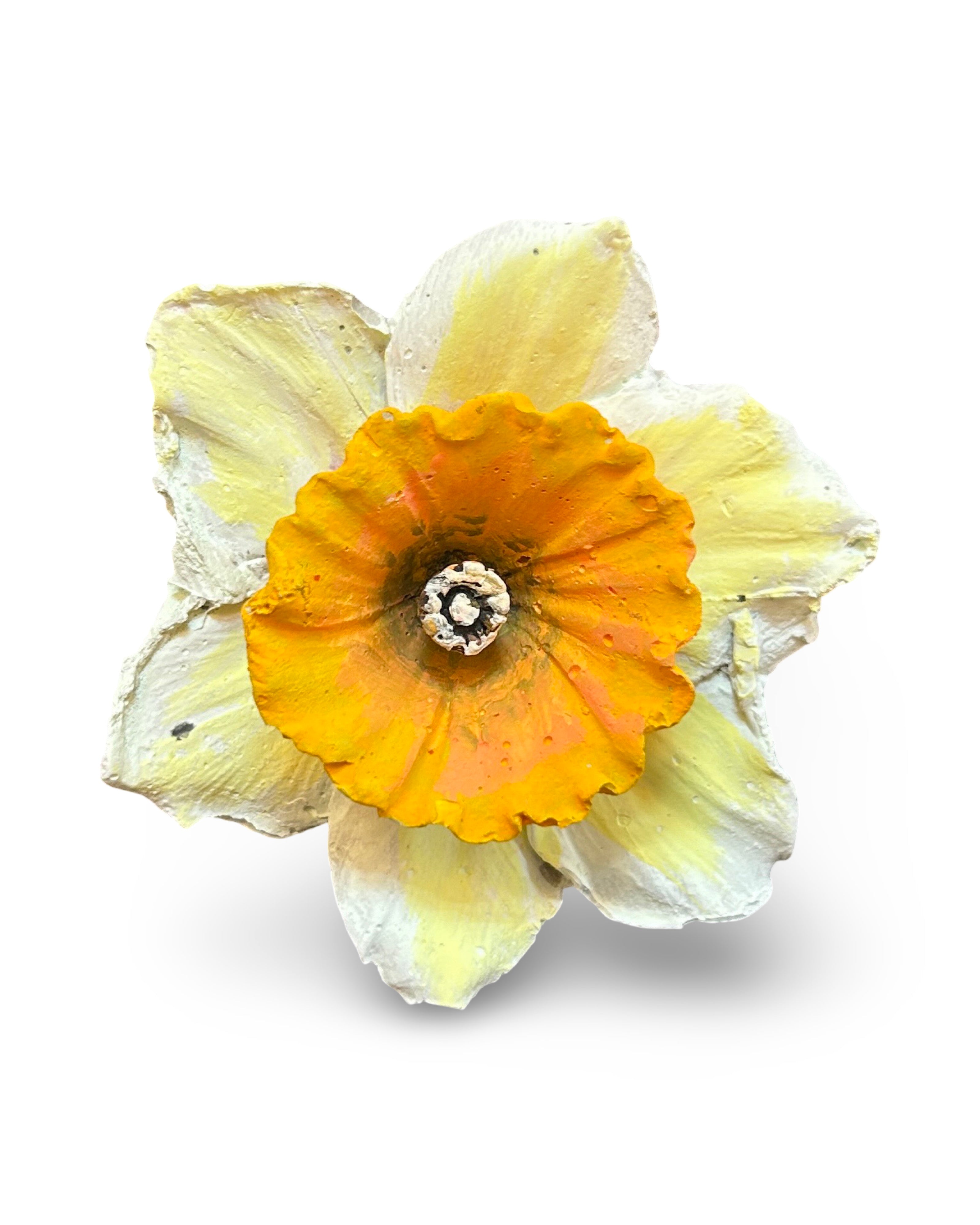 Daffodil Flower Concrete Wall Art by Urban Soule
