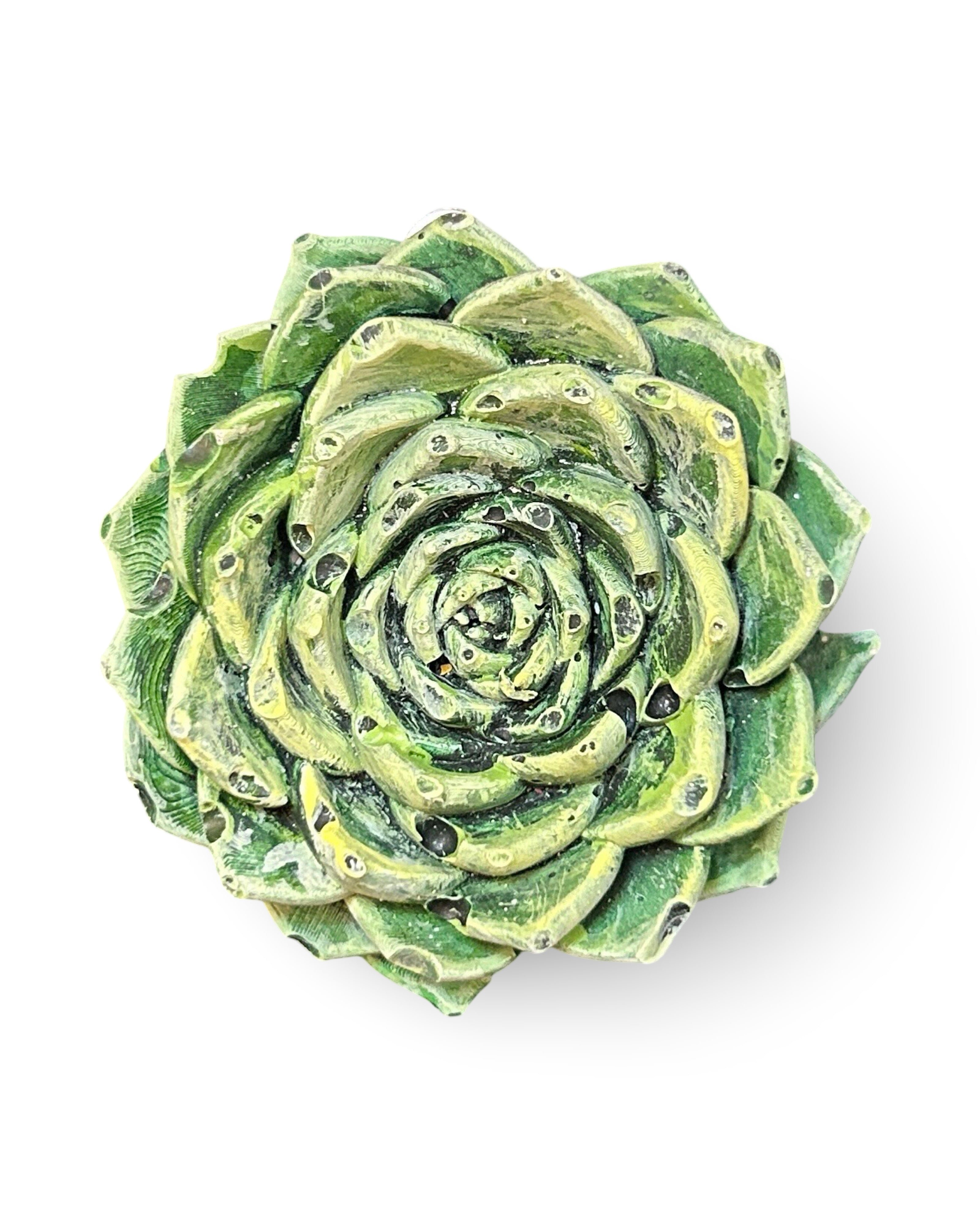 Echeveria Leaf Concrete Wall Art by Urban Soule