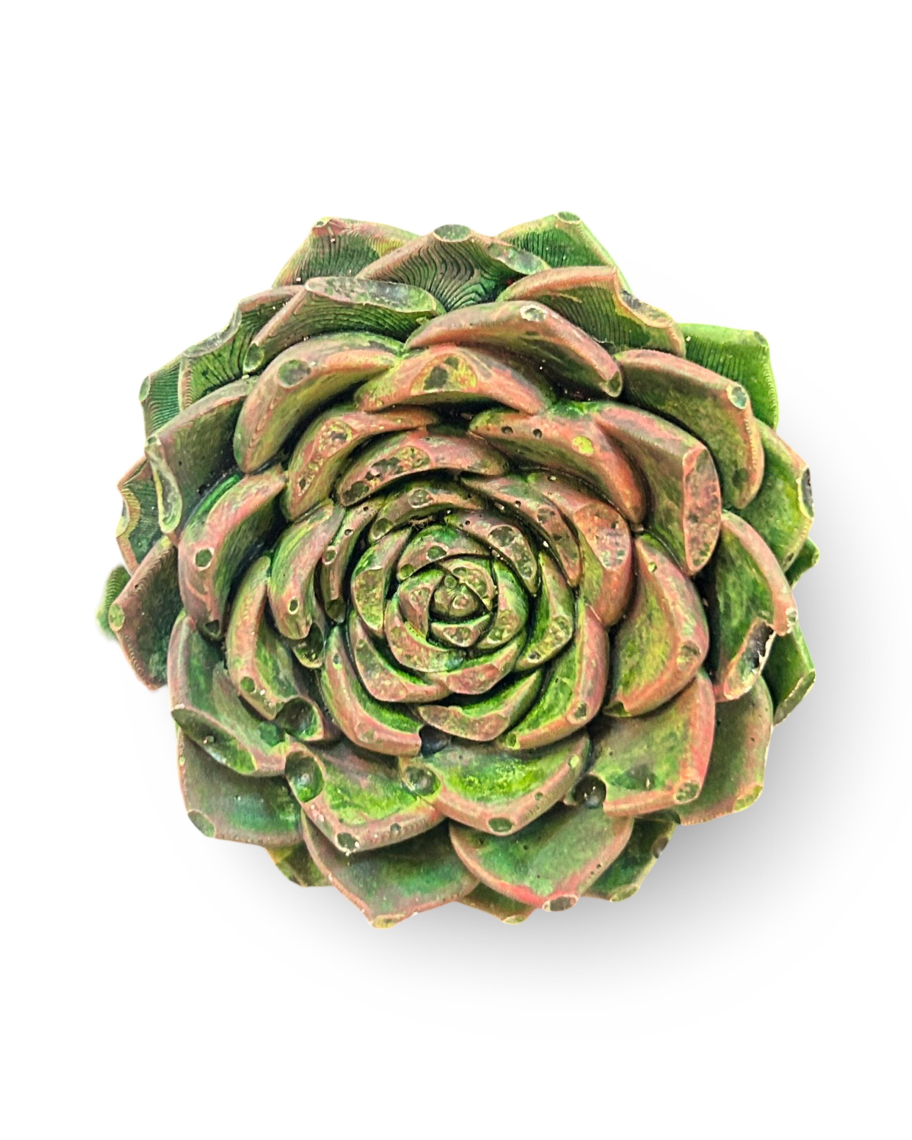 Echeveria Leaf Concrete Wall Art by Urban Soule