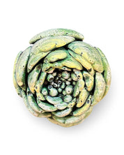 Succulent Leaf Concrete Wall Art by Urban Soule