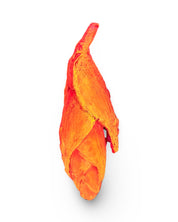 Lobster Claw Heliconia Flower Concrete Wall Art by Urban Soule