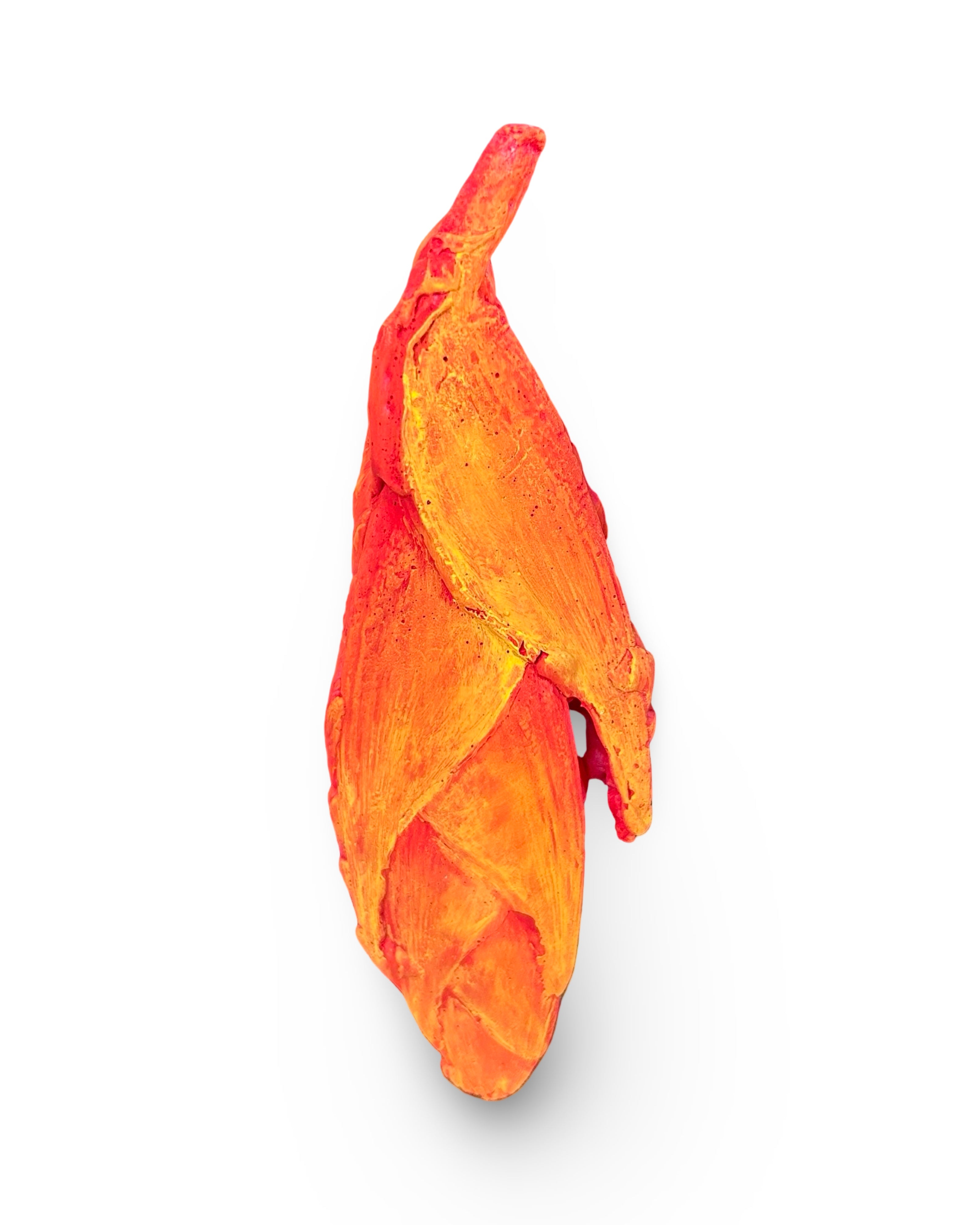 Lobster Claw Heliconia Flower Concrete Wall Art by Urban Soule