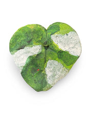 Cyclamen Leaf Concrete Wall Art Urban Soule