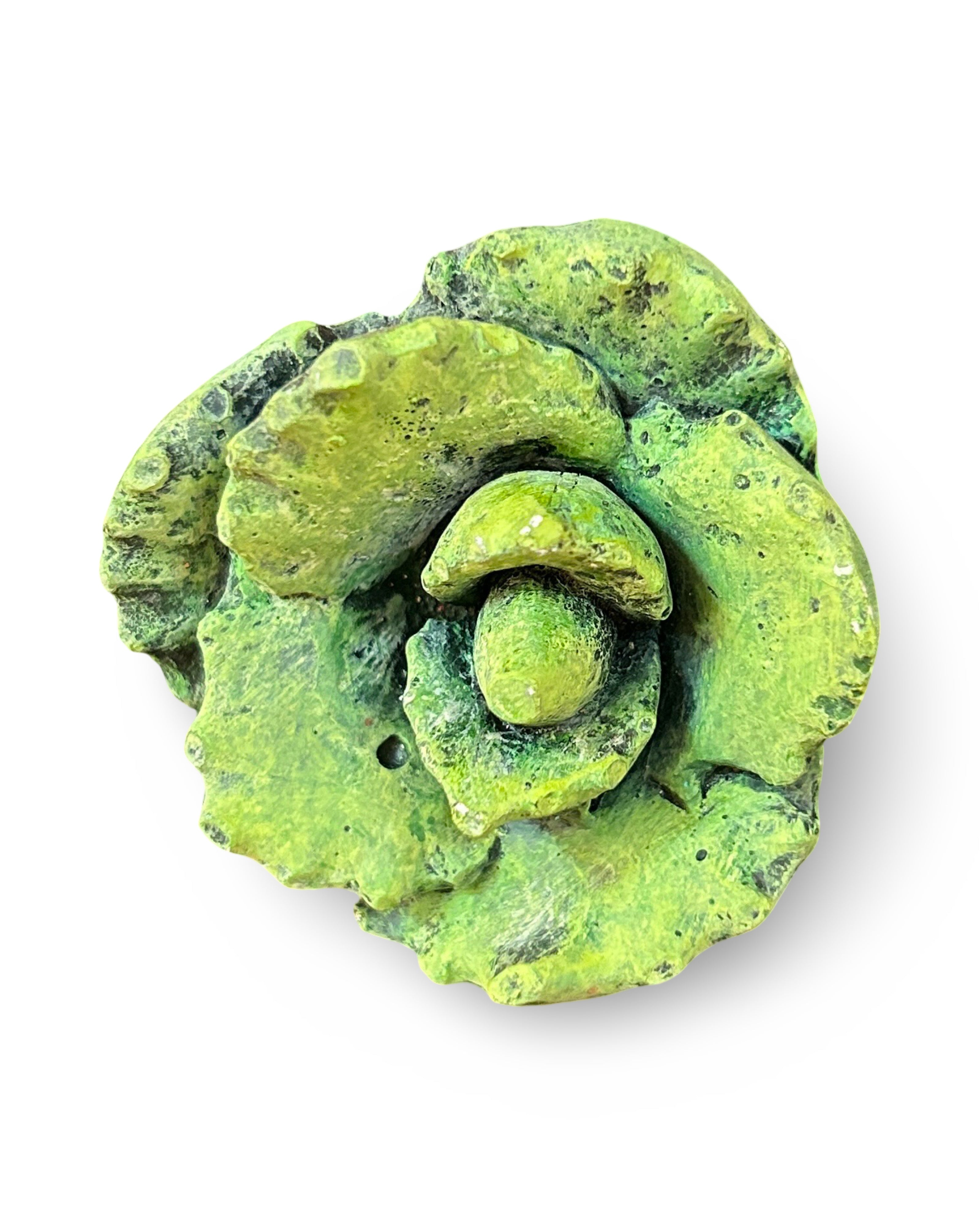 Haworthia Succulent Leaf Concrete Wall Art by Urban Soule