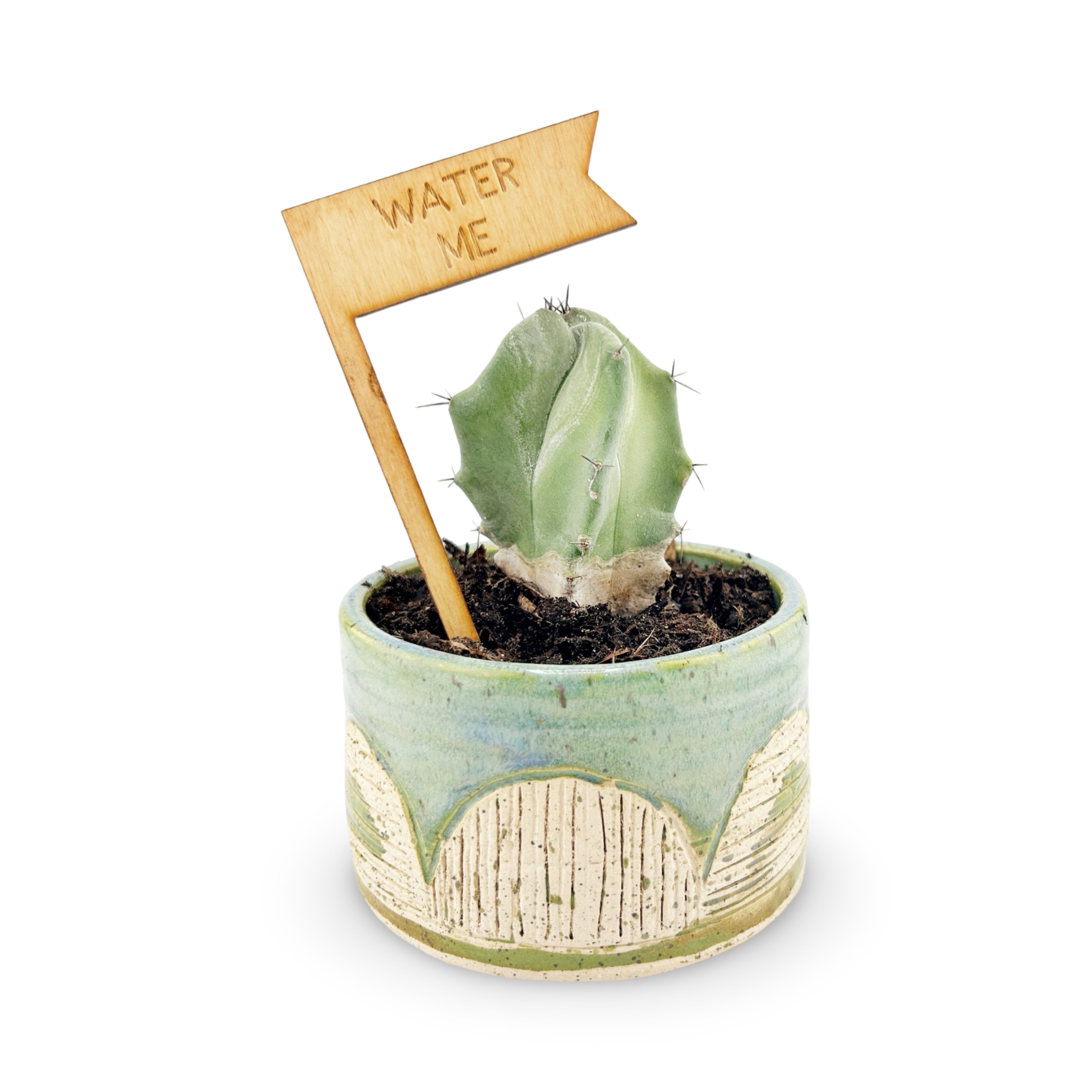 Water Me Funny Plant Stake